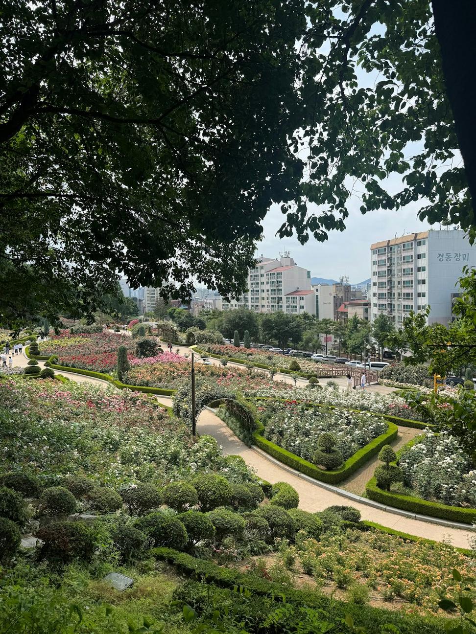 Leslieville Pocket Park